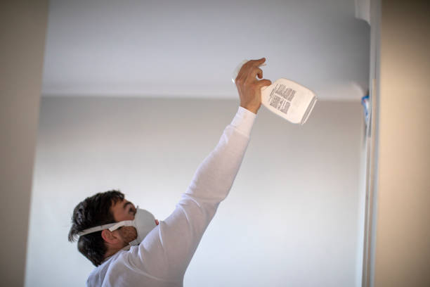 Best Office Mold Removal Services  in Olive Branch, MS