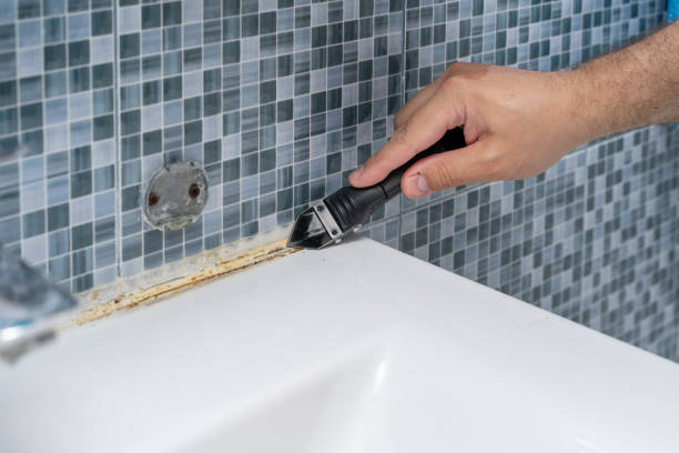 Best Toxic Mold Removal  in Olive Branch, MS