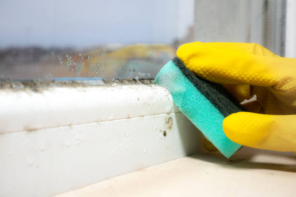 Water Damage Restoration in Olive Branch, MS