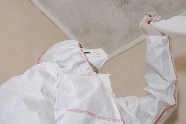 Best Residential Mold Removal  in Olive Branch, MS